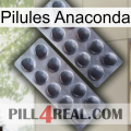 Anaconda Pills 31